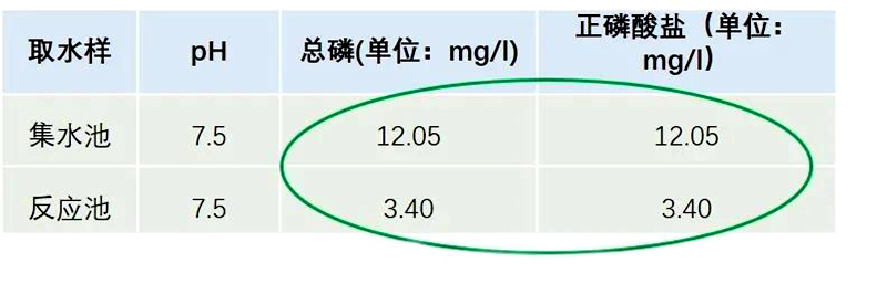 检测磷含量